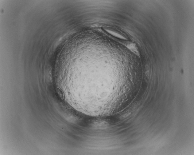 X0000071330547200607141908