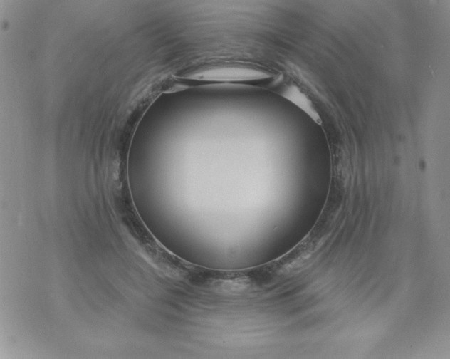 X0000071330548200607141908