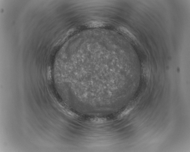 X0000071330549200607141908