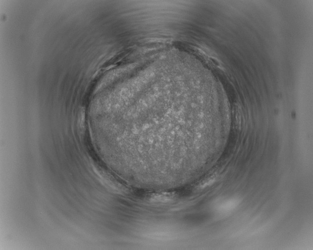 X0000071330550200607141908