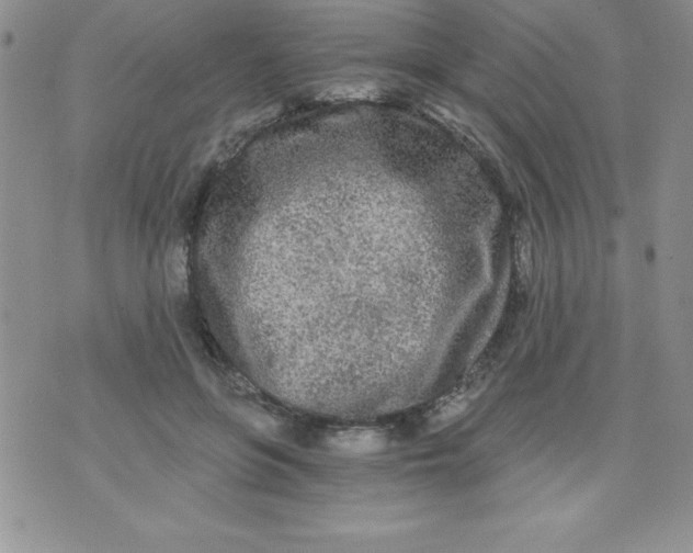 X0000071330551200607141908