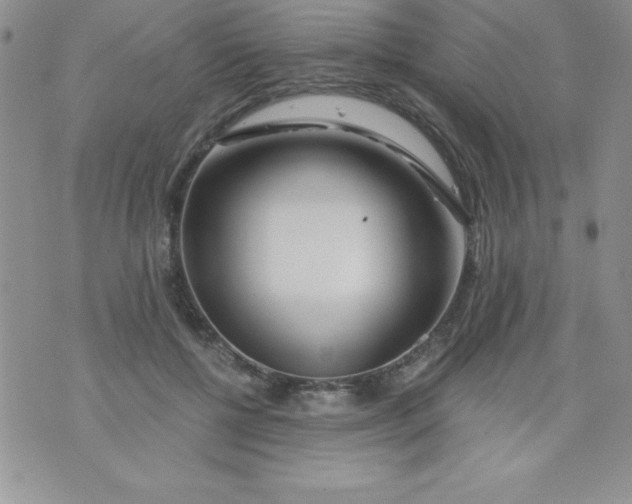 X0000071330552200607141908