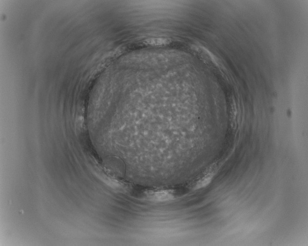 X0000071330553200607141908