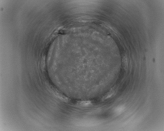 X0000071330554200607141908