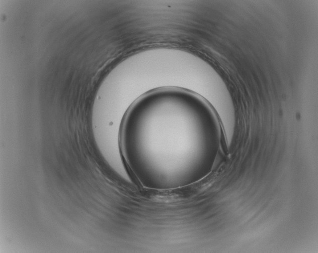 X0000071330556200607141908