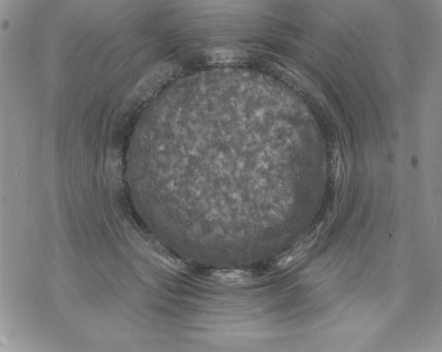 X0000071330557200607141908