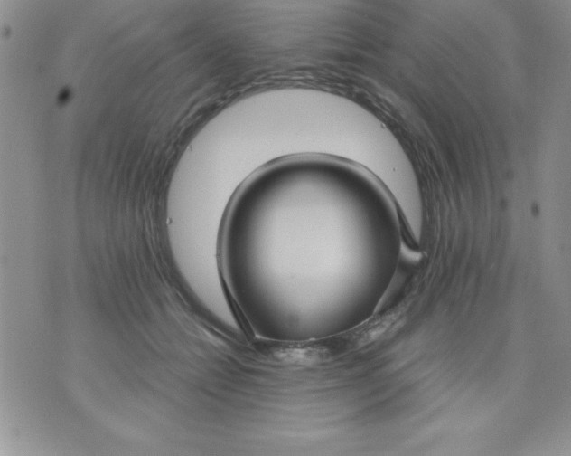 X0000071330558200607141908