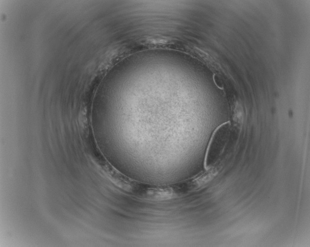 X0000071330559200607141908