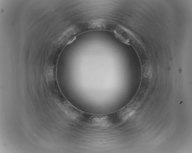 X0000071330560200607141908