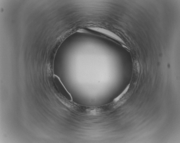 X0000071330564200607141908