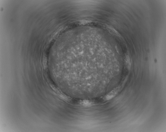 X0000071330565200607141908