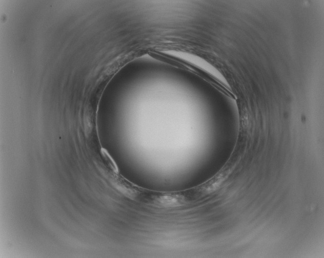 X0000071330566200607141908