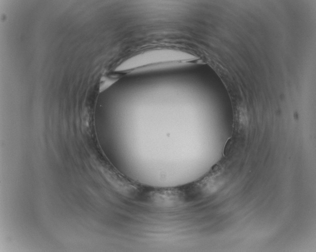 X0000071330567200607141908