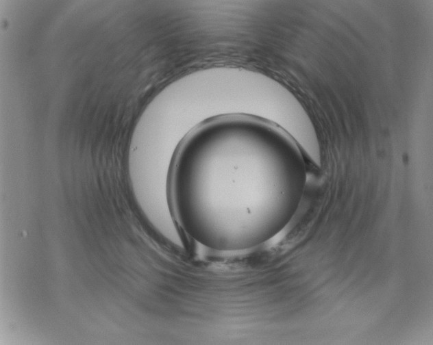 X0000071330568200607141908