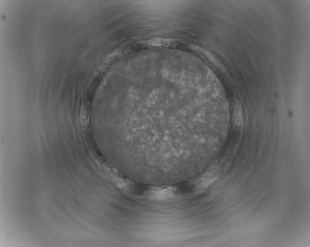 X0000071330569200607141908