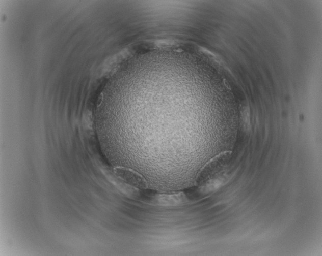 X0000071330571200607141908