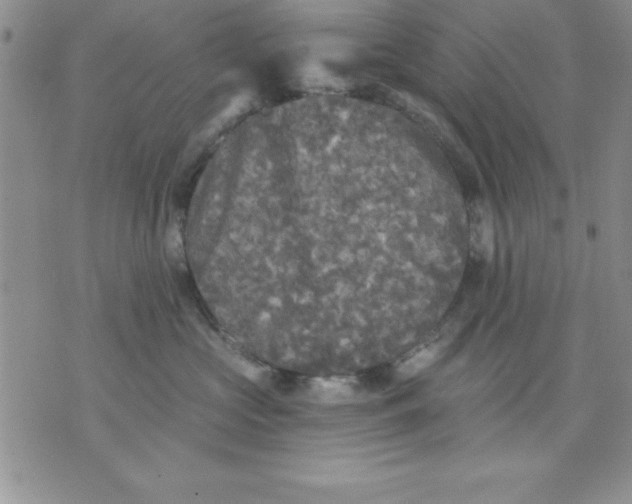 X0000071330573200607141908