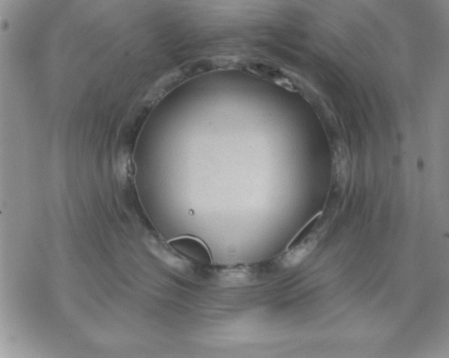 X0000071330574200607141908