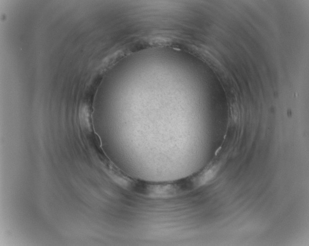 X0000071330575200607141908