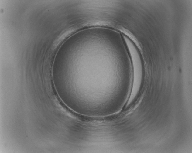 X0000071330577200607141908