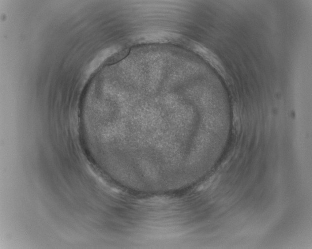 X0000071330578200607141908