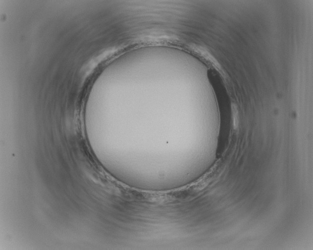 X0000071330579200607141908