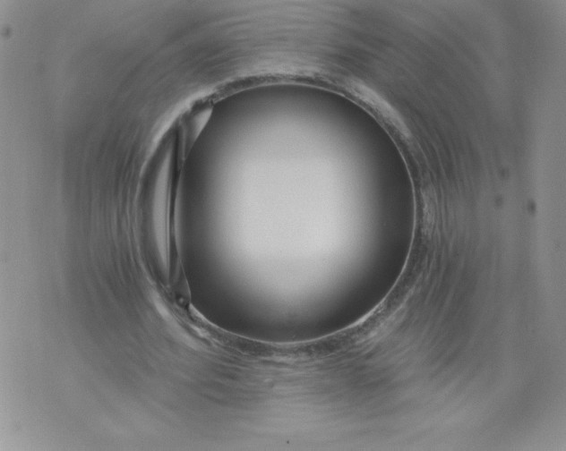 X0000071330580200607141908