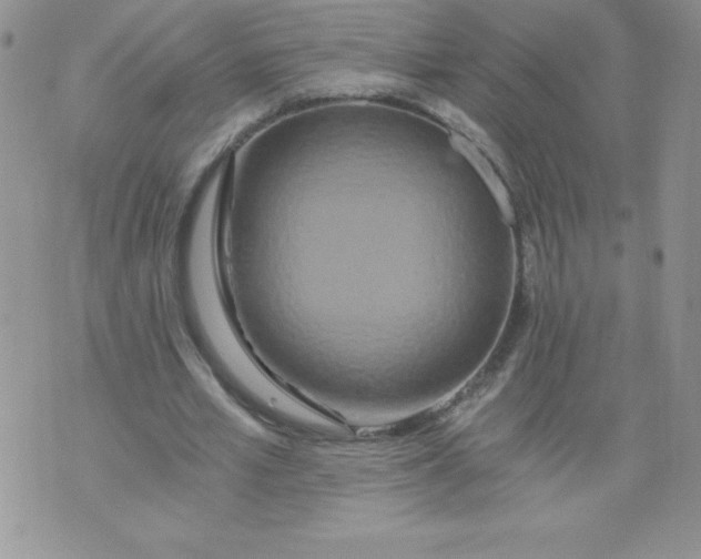 X0000071330581200607141908