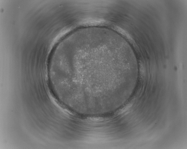 X0000071330582200607141908