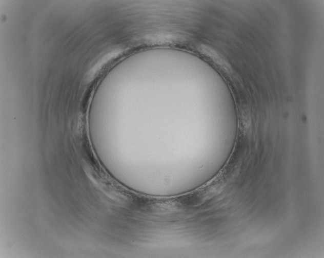 X0000071330583200607141908