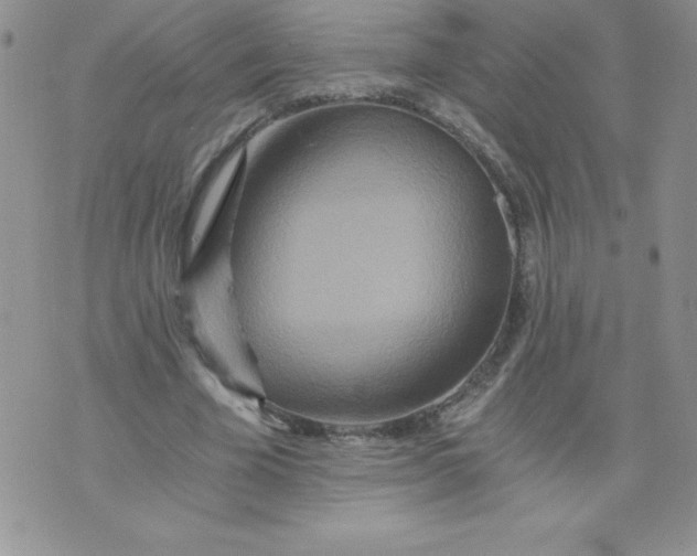 X0000071330585200607141908