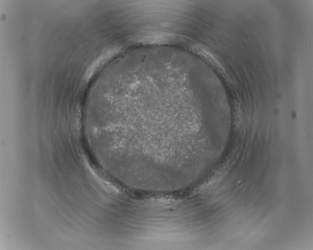 X0000071330586200607141907