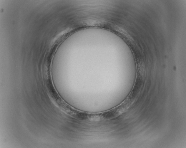 X0000071330587200607141907