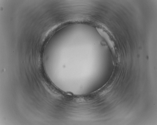 X0000071330588200607141907