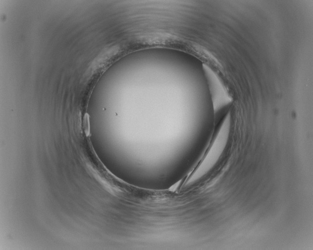 X0000071330589200607141907