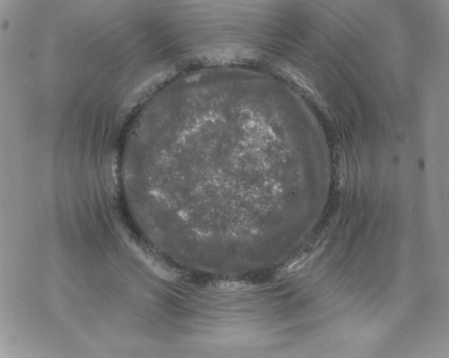 X0000071330590200607141907