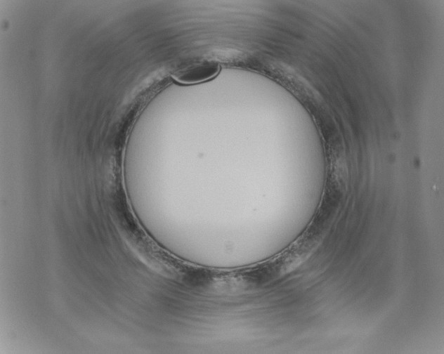 X0000071330591200607141907