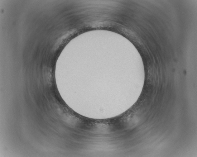 X0000071330592200607141907