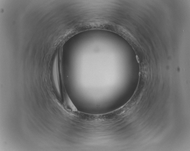 X0000071330593200607141907