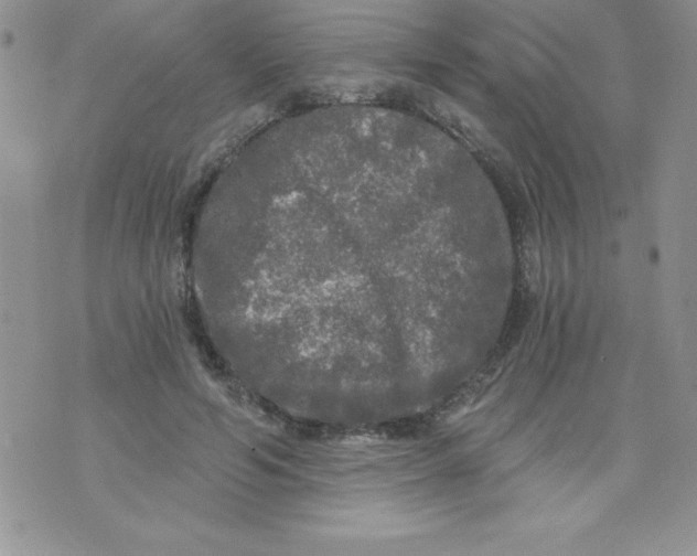 X0000071330594200607141907