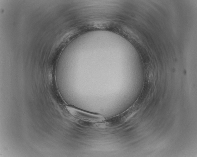 X0000071330595200607141907