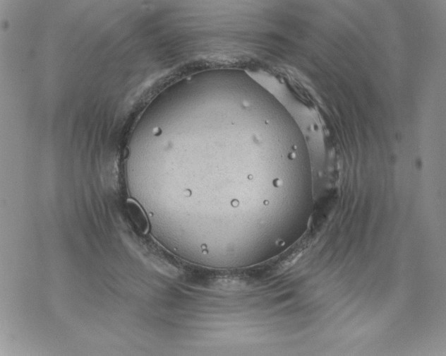 X0000071330596200607141907