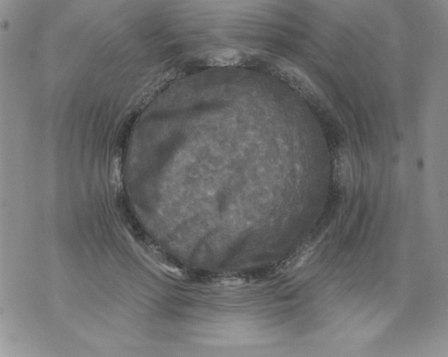 X0000071330598200607141907