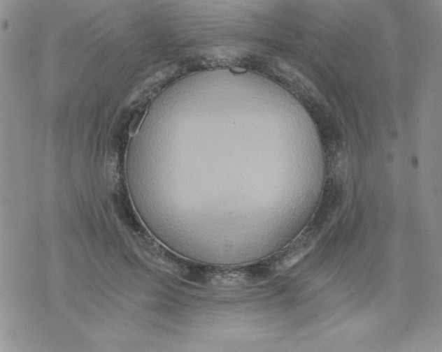 X0000071330599200607141907