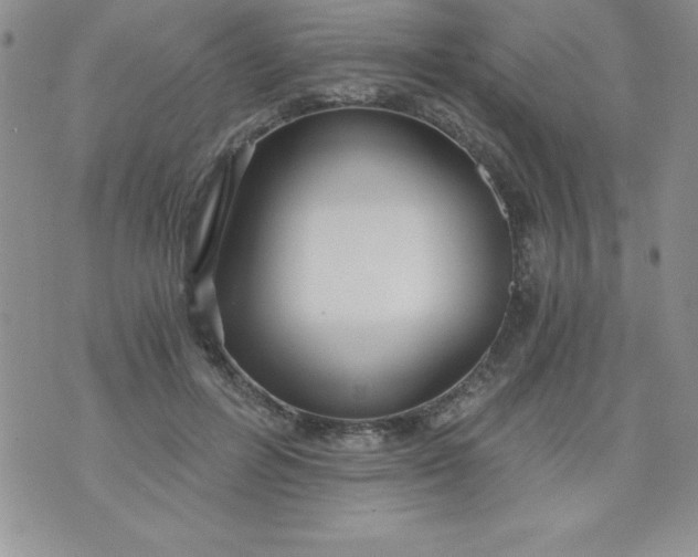 X0000071330600200607141907