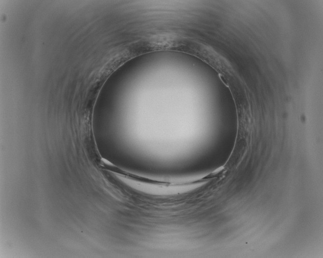 X0000071330601200607141907