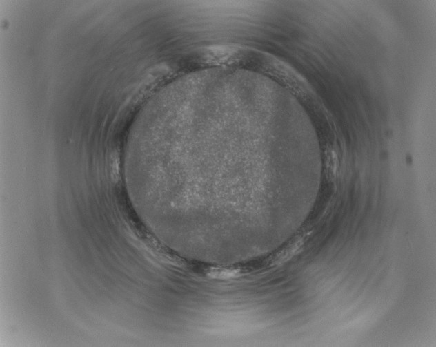 X0000071330602200607141907