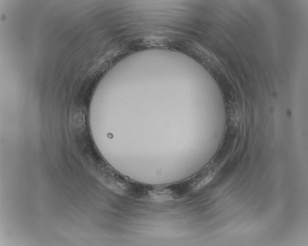 X0000071330603200607141907