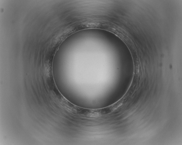 X0000071330604200607141907