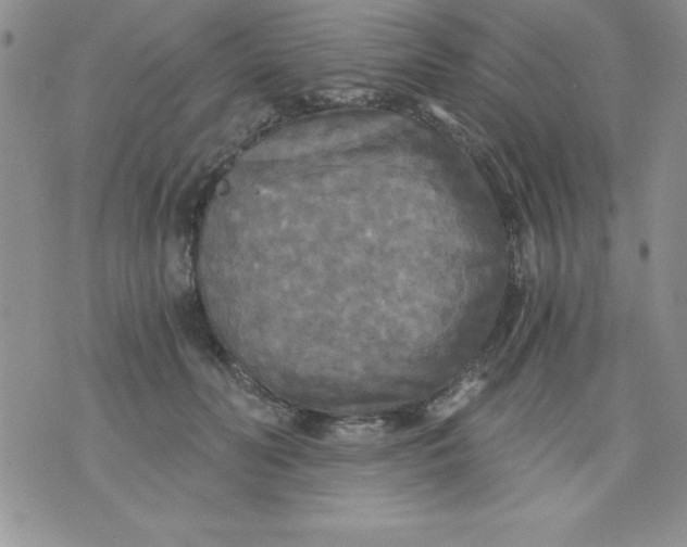 X0000071330606200607141907